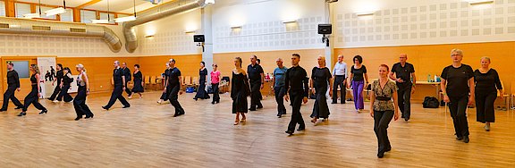 D40A2701-cut.jpg 